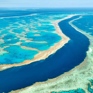 Le Fonds L’Oréal pour la régénération de la nature s’associe à la Fondation “Great Barrier Reef”