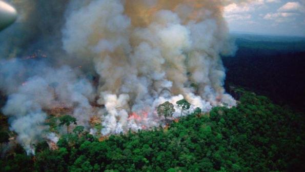 Amazon fires