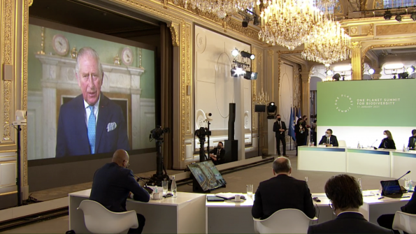 natural-capital-alliance-one-planet-summit