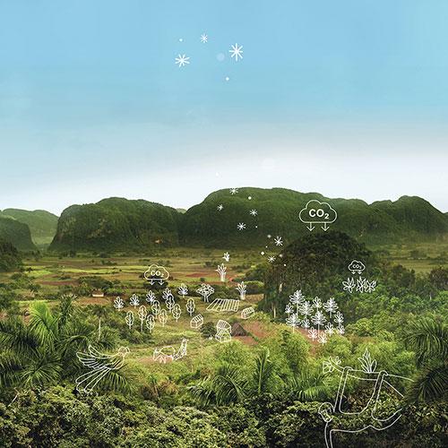 environmental assets