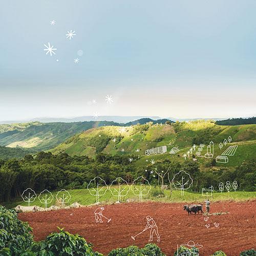 sustainable land use