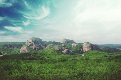 Premiers investissements de la stratégie dédiée à la préservation de la biodiversité en Amazonie