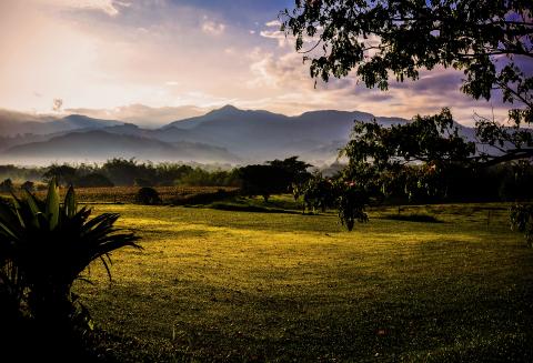 Mirova’s Land Degradation Neutrality Fund exceeds $200m of commitments for its final close