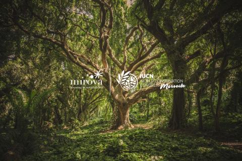 Mirova partners with the IUCN World Conservation Congress
