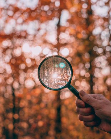 Corporate sustainability disclosure: keep it simple, make it useful