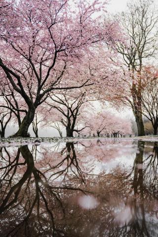 Mirova for Nature: progress report on our action in favour of biodiversity