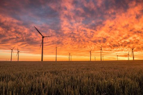 Akuo et Mirova mettent en service trois centrales éoliennes en Pologne