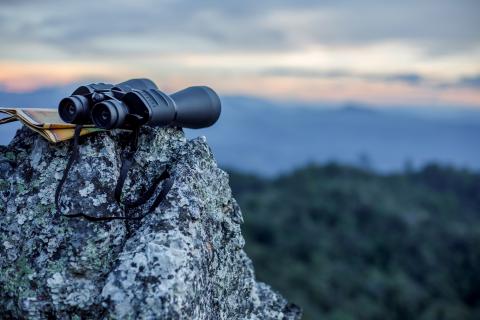 Mirova voit la vie en vert, et 2023 en rose