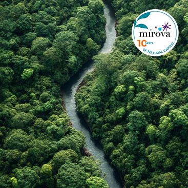 Voluntary Carbon Markets: Building Trust, Scaling Impact, and Shaping the Next Decade