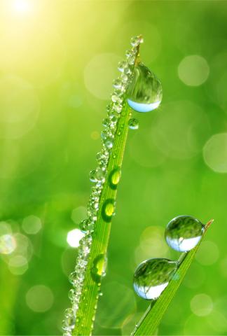 Mirovα, Creating Sustainable Value -March 2026