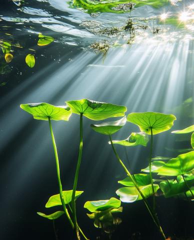 Mirovα, Creating Sustainable Value - May 2026