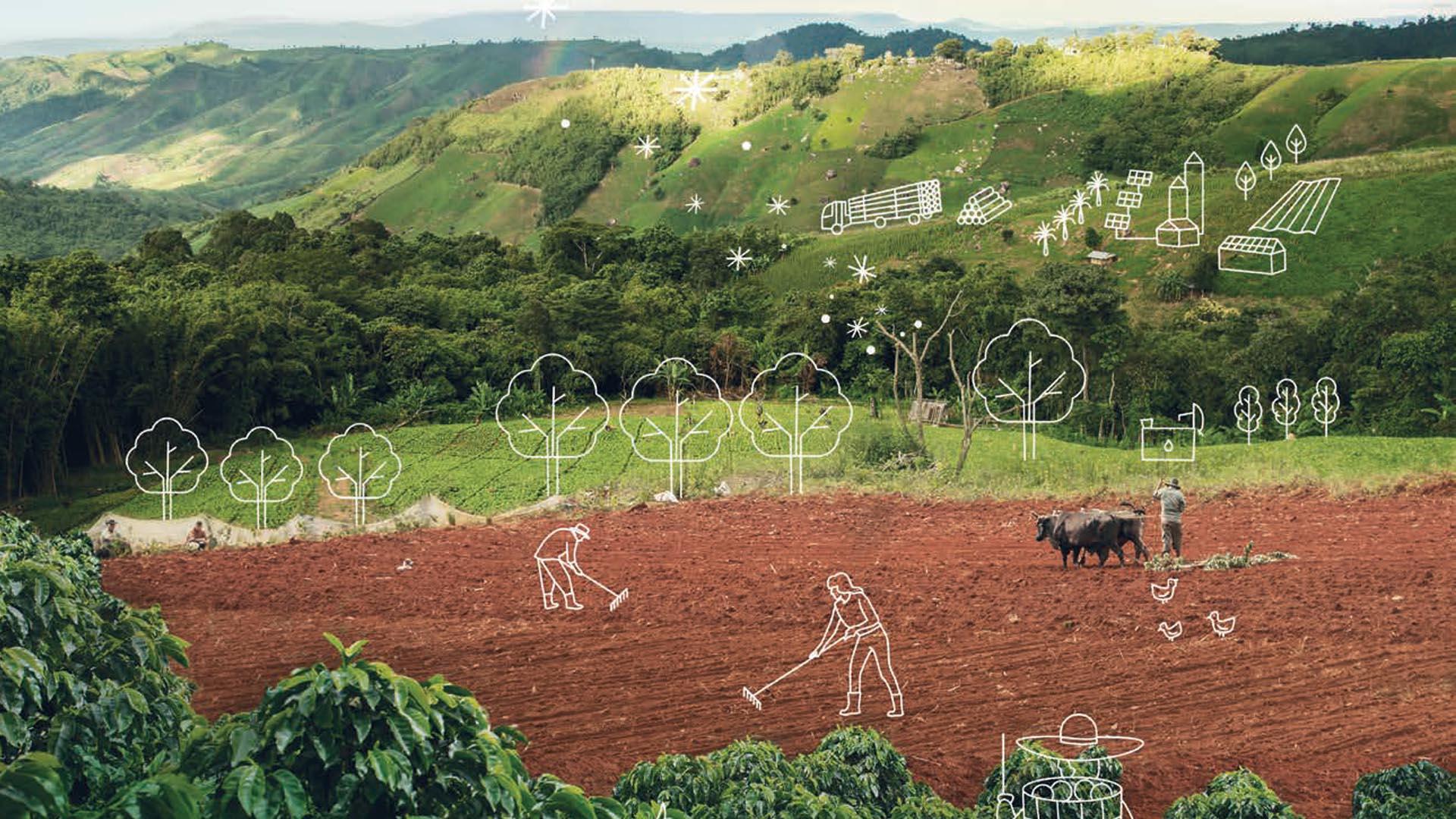 Land Degradation Neutrality strategy (LDN) Impact Report 2021