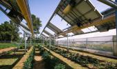 Ombrea: climate control and protection for crops