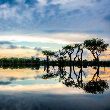 amazonia