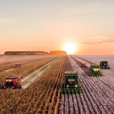 agriculture