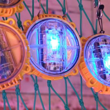 pisces-safetynet-technologies-mirova-sustainable-fishing