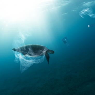 neste-recycling-tech-mirova-circular-economy