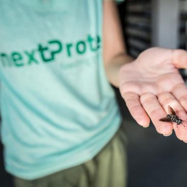 nextprotein-mirova-natural-capital-sustainable-ocean