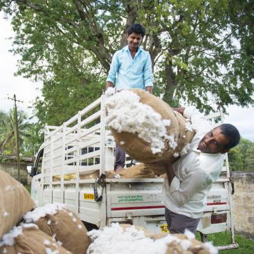 Agri3-blended-finance-sustainable-agriculture-natural-capital-investment