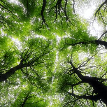 mirova-natural-capital-accelerator-ecopartners