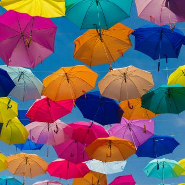 insurance reinsurance