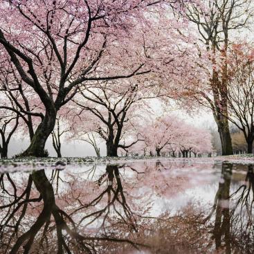 Mirova for Nature: progress report on our action in favour of biodiversity