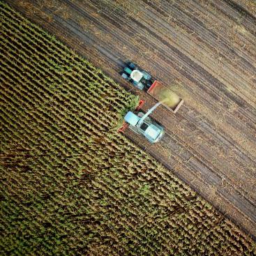 agriculture