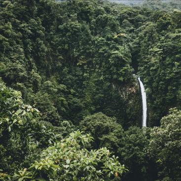 Orange teams up with Mirova and IUCN to deploy the Orange Nature fund