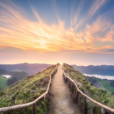 Mirova's natural capital platform demonstrates its successful application of the Impact Principles