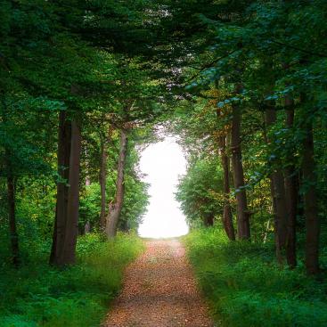 Taskforce on Nature-related Financial Disclosure