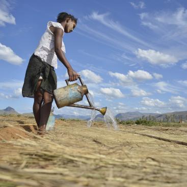 Mirova teams up with Aqre Group to develop agroforestry systems in partnership smallholder farmers in Madagascar