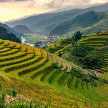 The Global EverGreening Alliance and Mirova launch one of the largest nature-based carbon removal programmes in Asia