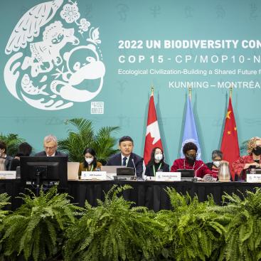 COP 15: a step forward in the battle to preserve biodiversity