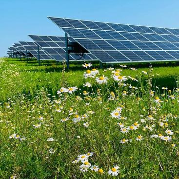 Evecon and Mirova set up a renewable energy platform which will build the largest solar park in the Baltics