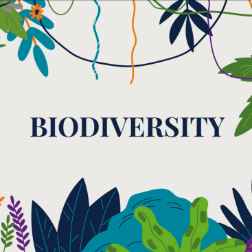 biodiversity series