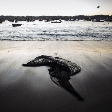 Mirova invests in Bureo Inc. to support the expansion of their end-of-life fishing net recycling programme across Latin America