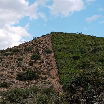 Imperative secures funding for first phase of its project to restore 100,000ha of land in South Africa