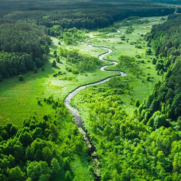 Curvy-river-and-marshland.-Aerial-view-of-wildlife