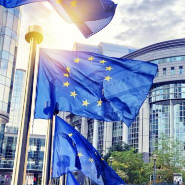 European flags floating