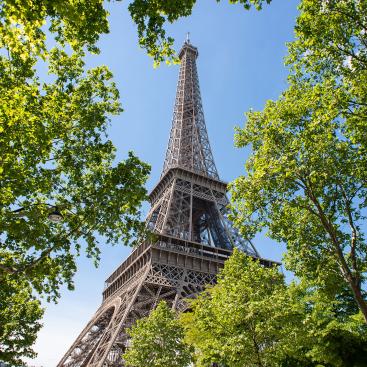 eiffel-tower-surrounded-by-trees
