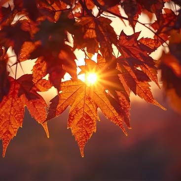 Mirovα, Creating Sustainable Value - October 2025