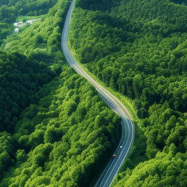 What we're learning from Blended Finance in sustainable land use