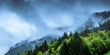 Investing to preserve ecosystems