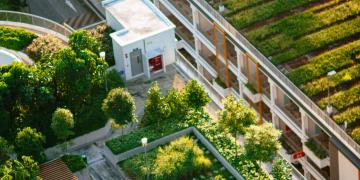 Investing in Sustainability