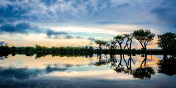 amazonia