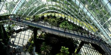 sustainable investing