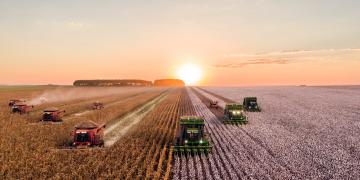 agriculture