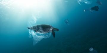 neste-recycling-tech-mirova-circular-economy
