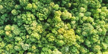 natural-capital-impact-report-mirova-2019