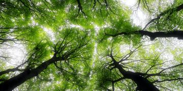 mirova-natural-capital-accelerator-ecopartners
